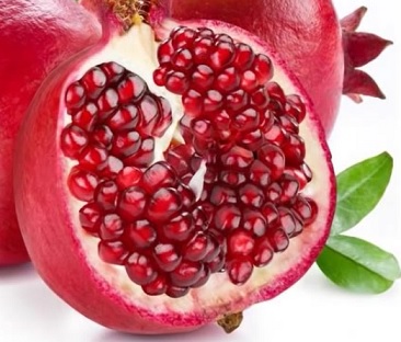 Plantar Romã no Vaso – Dicas de Cultivo, Cuidados com Rega, Adubo, Benefícios