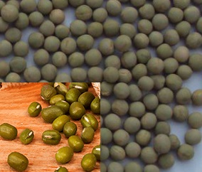 indicações-e-benefícios-da-ervilha-seca-vitaminas- propriedades-benefícios-da-ervilha-seca-partida-