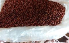 Urucum – Como Fazer Colorau Caseiro, Benefícios e Nutrientes do Anato