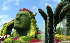 Quando Podar Plantas – Dicas de Tipos de Poda, Quando e Como Podar Flores