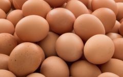 Porque Comer Ovo Todo Dia – Benefícios e Nutrientes do Ovo para a Saúde