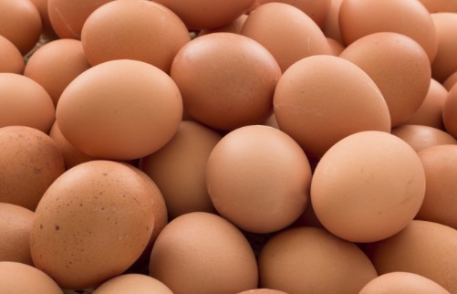 Porque Comer Ovo Todo Dia – Benefícios e Nutrientes do Ovo para a Saúde