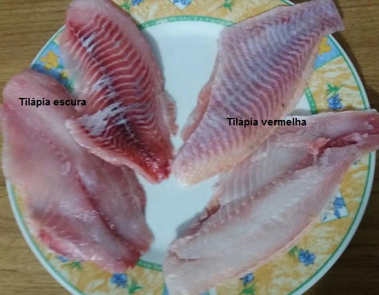Filé de Tilápia à Escabeth – Receita de Peixe no Molho com Azeite, Tomates e Cebola