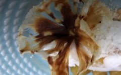 Flor de Abacaxi e Sorvete de Abacaxi do Mais Você – Receita da Ana Maria Braga 28/07/17