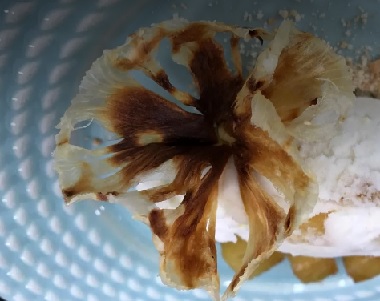 Flor de Abacaxi e Sorvete de Abacaxi do Mais Você – Receita da Ana Maria Braga 28/07/17