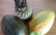 Porque Comer Fruta em Jejum – Benefícios das Frutas no Tratamento de Doenças