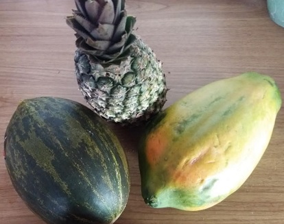 Porque Comer Fruta em Jejum – Benefícios das Frutas no Tratamento de Doenças