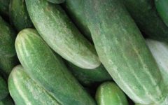 Benefícios do Pepino para a Saúde – Nutrientes e Dicas de Remédios Caseiros com Pepino