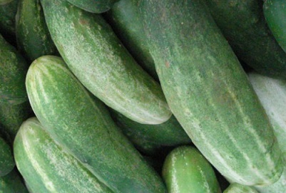 Benefícios do Pepino para a Saúde – Nutrientes e Dicas de Remédios Caseiros com Pepino