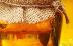 Como Saber se o Mel de Abelhas é Puro – Informações Nutricionais e Benefícios do Mel