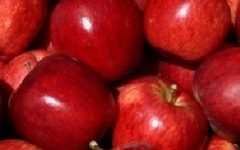 Dicas de Alimentação Saudável – O que e quanto Comer – Dieta Diária Saudável