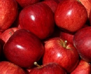 Dicas de Alimentação Saudável – O que e quanto Comer – Dieta Diária Saudável