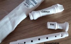 Primeiras Aulas de Como Tocar Flauta – Dicas de Como Limpar a Flauta Doce Soprano