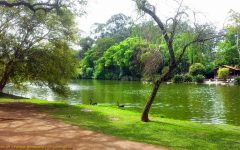 Passeios em SP para Feriado: Lugares Grátis e Atrações Baratas