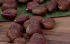Benefícios da Castanha Portuguesa – Tudo Sobre Nutrientes da Castanha