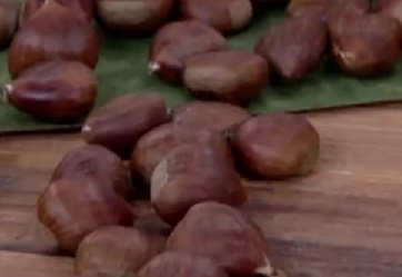 Benefícios da Castanha Portuguesa – Tudo Sobre Nutrientes da Castanha