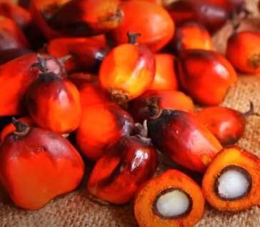 Azeite de Dendê – Nutrientes e Benefícios para a Saúde e Cosmético para Cabelo e Pele