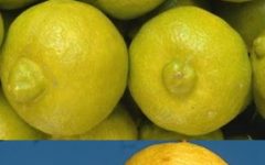 Lima de Bico Benefícios e Nutrientes da Fruta que Ajuda Tratar Labirintite