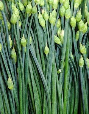 O Que é Nirá – Como Plantar, Nutrientes e Benefícios para a Saúde