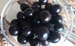 Geleia de Jabuticaba Caseira – Receita de Geleia Fácil e Rápida de Fazer