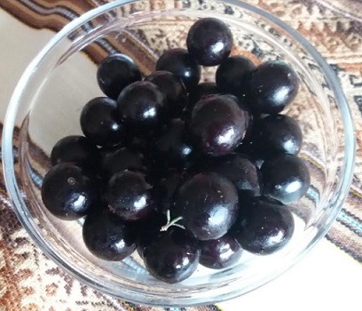 Geleia de Jabuticaba Caseira – Receita de Geleia Fácil e Rápida de Fazer