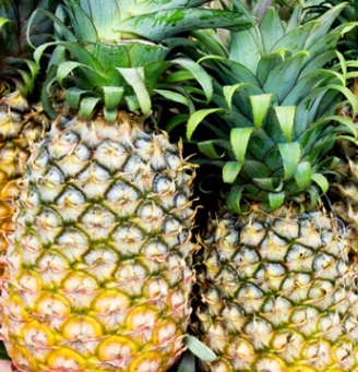 Suco de Casca de Abacaxi – Benefícios e nutrientes, Receita de Aproveitamento