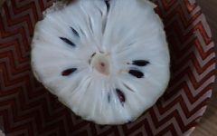 Sobremesas de Graviola, Receitas de Doces de Graviola, Sorvete, Recheio para Bombons