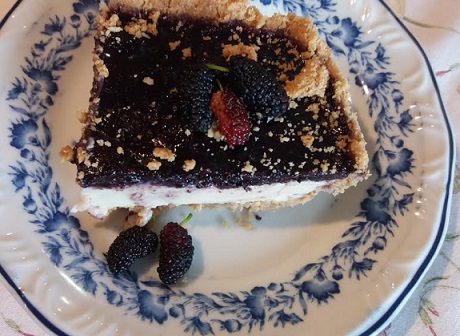 Torta de Amoras com Iogurte e Massa de Bolacha – Receita Fácil e Deliciosa