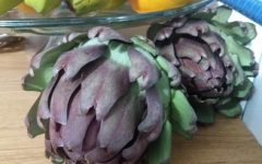 Como Plantar Alcachofra – Dicas de Cultivo, Benefícios e Nutrientes