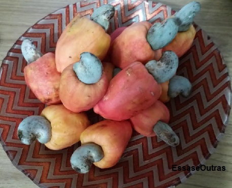 Vitaminas do Caju – Nutrientes e Benefícios do Caju para a Saúde