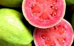 Catchup de Goiaba – Como Fazer e Ingredientes – Receita Caseira Fácil
