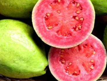 Catchup de Goiaba – Como Fazer e Ingredientes – Receita Caseira Fácil