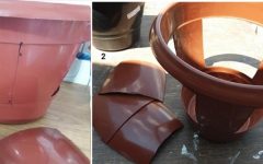 Como Preparar Vaso Duplo para Plantar Batata – Dicas de Cultivo e Cuidados