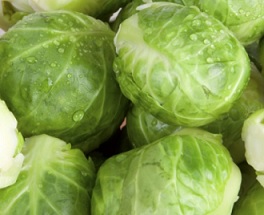 como-plantar-couve-bruxelas-nutrientes-benefícios