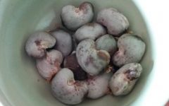 Como Descascar Castanha de Caju – Como Retirar a Casca da Castanha