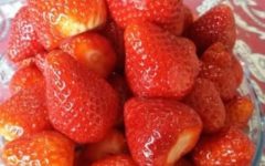 Dicas de Petiscos, Lanches e Bebidas para Levar na Praia – Comidas Saudáveis