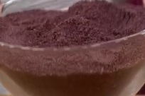 Farinha de Vinho – Estudo sobre Nutrientes, Benefícios e Como é Feita e Como Usar