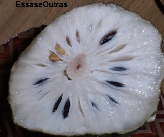 Suco de Graviola com Leite – Benefícios e Vitaminas da Fruta