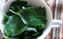 Como Fazer Pesto de Manjericão – Dicas de Congelamento e de Uso