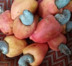 Suco de Caju com Frutas e Legumes – Como Fazer Suco Detox, Alcalinizante e Energético