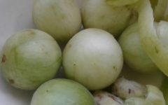 Umbu ou Imbu – Fruto do Umbuzeiro, Nutrientes e Benefícios para a Saúde