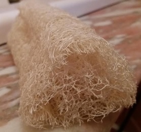 Usar Bucha de Banho É Higiênico? Cuidados de Higiene com Esponja ou Bucha Vegetal