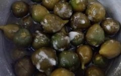 Doce de Figo Verde – Como Fazer Compota de Figo – Dicas para Tirar a Pele