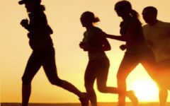 Como Cuidar das Articulações e Cartilagens do Corpo – Dicas de Vitaminas e Dieta Correta