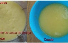 Detergente de Casca de Laranja ou Limão – Como Fazer Desengordurante com Cascas Cítricas