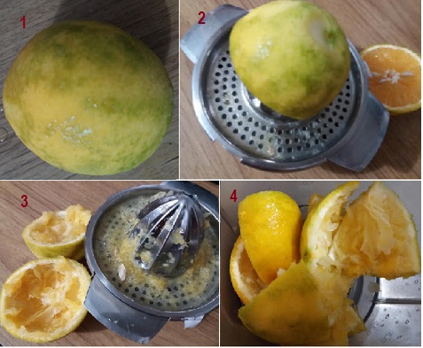detergente-de-casca-de-laranja-