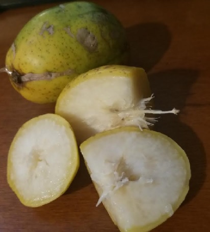 Vitaminas do Cajá Manga – Benefícios e Nutrientes do Cajá – Dicas para Retirar Polpa do Cajá e Sucos