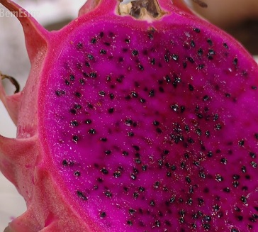 benefícios-e-nutrientes-vitaminas-da-pitaya-