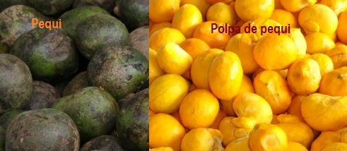 Óleo de Pequi – Benefícios do Óleo e da Fruta, Nutrientes e Uso das Folhas do Pequi, Castanha e Polpa
