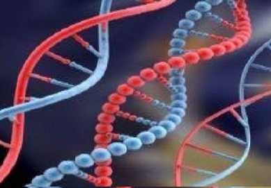 Farmacogenética – Exame para Indicação do Remédio Certo para Depressão, Como é Feito o Teste Genético